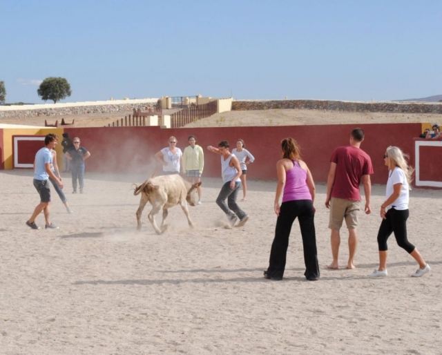 Capea con los amigos